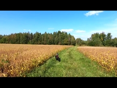고정 날개 수직 UAV 드론 감시 지도 제작 농업 산업 항공기